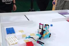 Shotcut_00_00_13_433