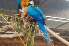 IMG_20250522_145343